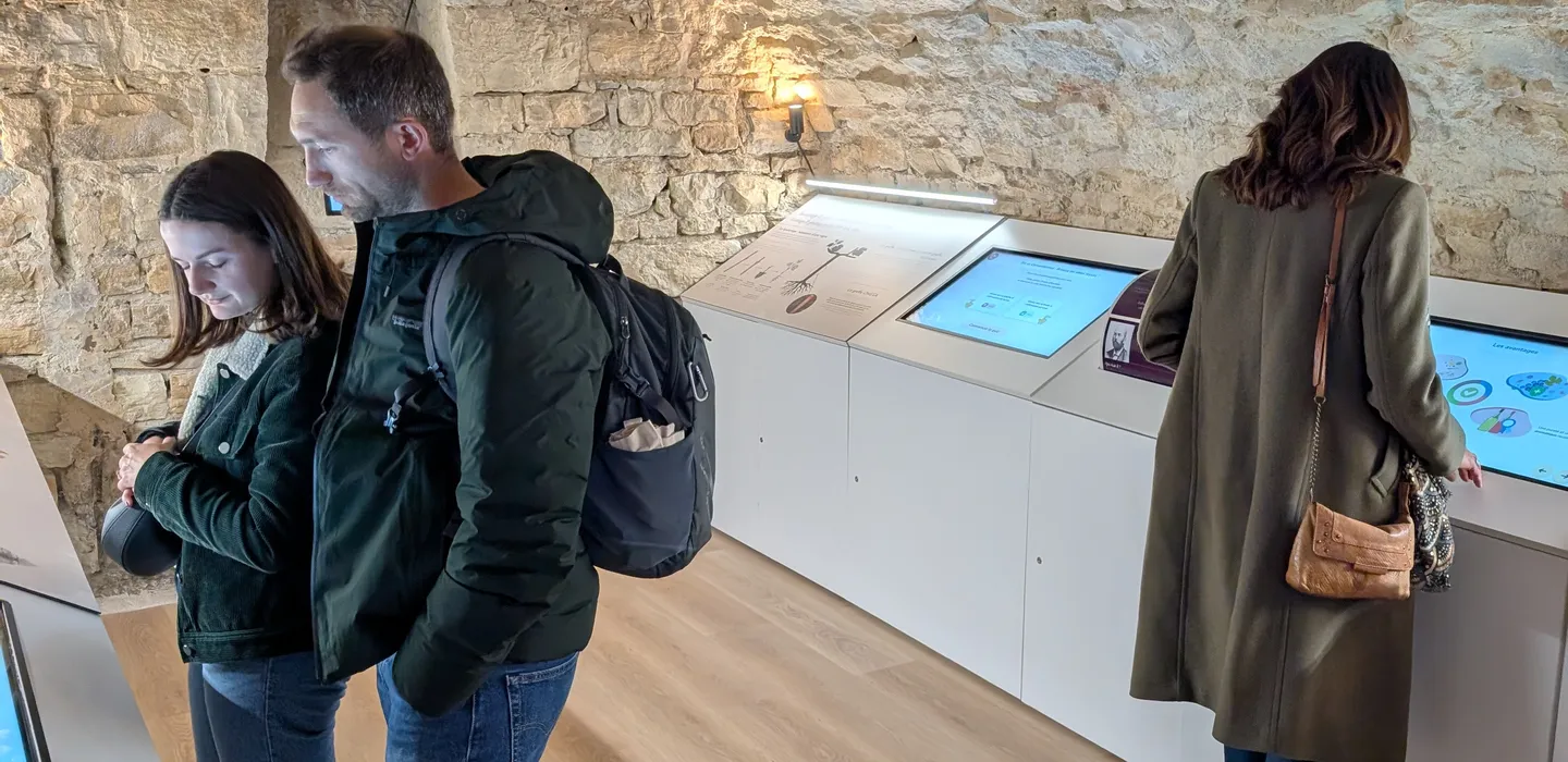 Caves voûtées du Petit Musée du Vin, cadre unique pour offrir une expérience vin à Lyon