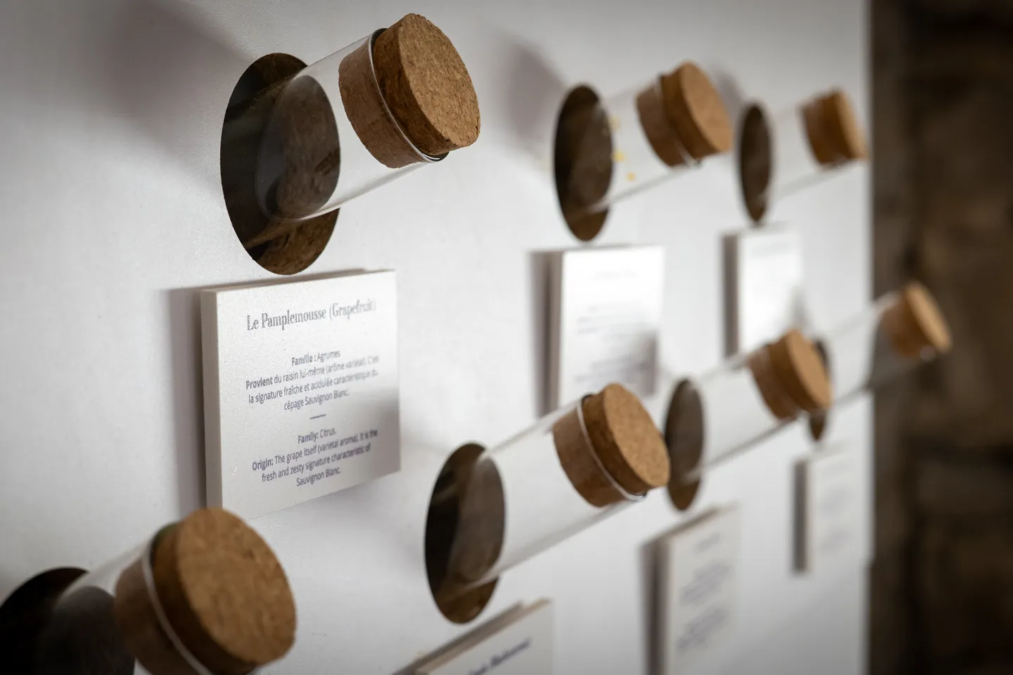 Mur des arômes du Petit Musée du Vin, tubes d'arômes bouchés au liège, dont le pamplemousse