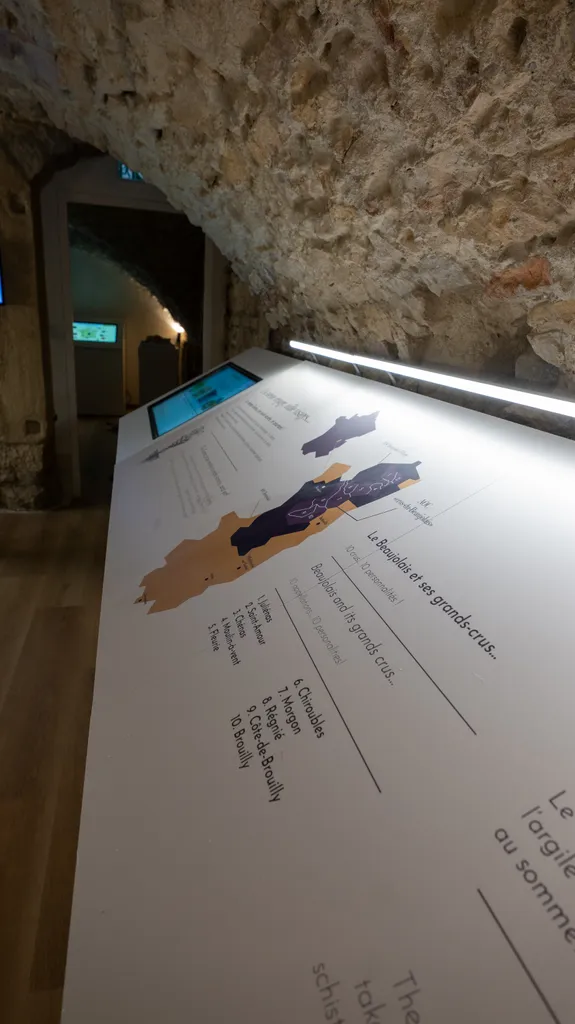 Salle des terroirs du Petit Musée du Vin, table lumineuse avec carte du Beaujolais sous voûte en pierre