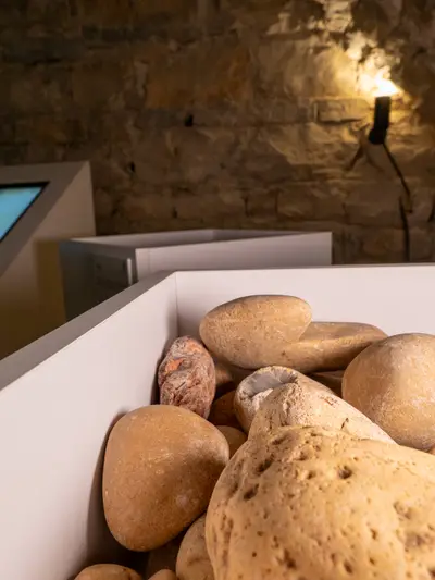 Salle Terroirs : tablettes interactives pour explorer les sols et les régions viticoles