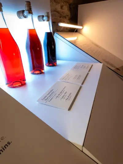 Salle Vinification : comprendre la transformation du raisin en vin