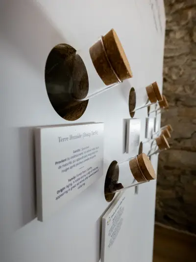 Salle Les sens : roue des arômes et exercices sensoriels pour apprendre à déguster