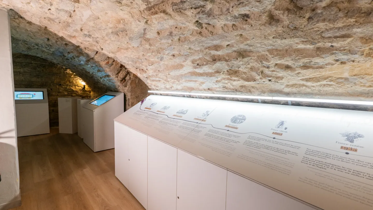 Caves voûtées du 19e siècle, cadre unique pour vos séminaires d'entreprise à Lyon