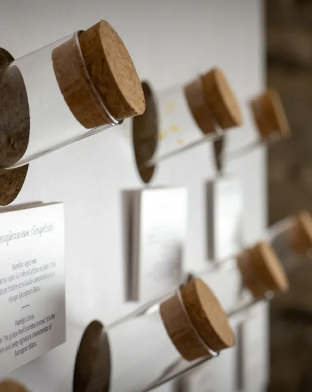 Espace de réception du Petit Musée du Vin, séminaire entreprise Lyon