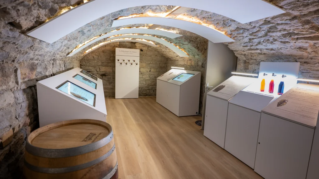 Dégustation de vin immersive dans les caves voûtées du Petit Musée du Vin à Lyon