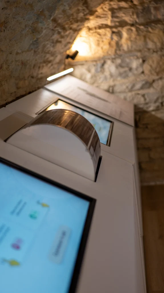 Famille explorant le Petit Musée du Vin à Lyon, activité accessible dès 10 ans
