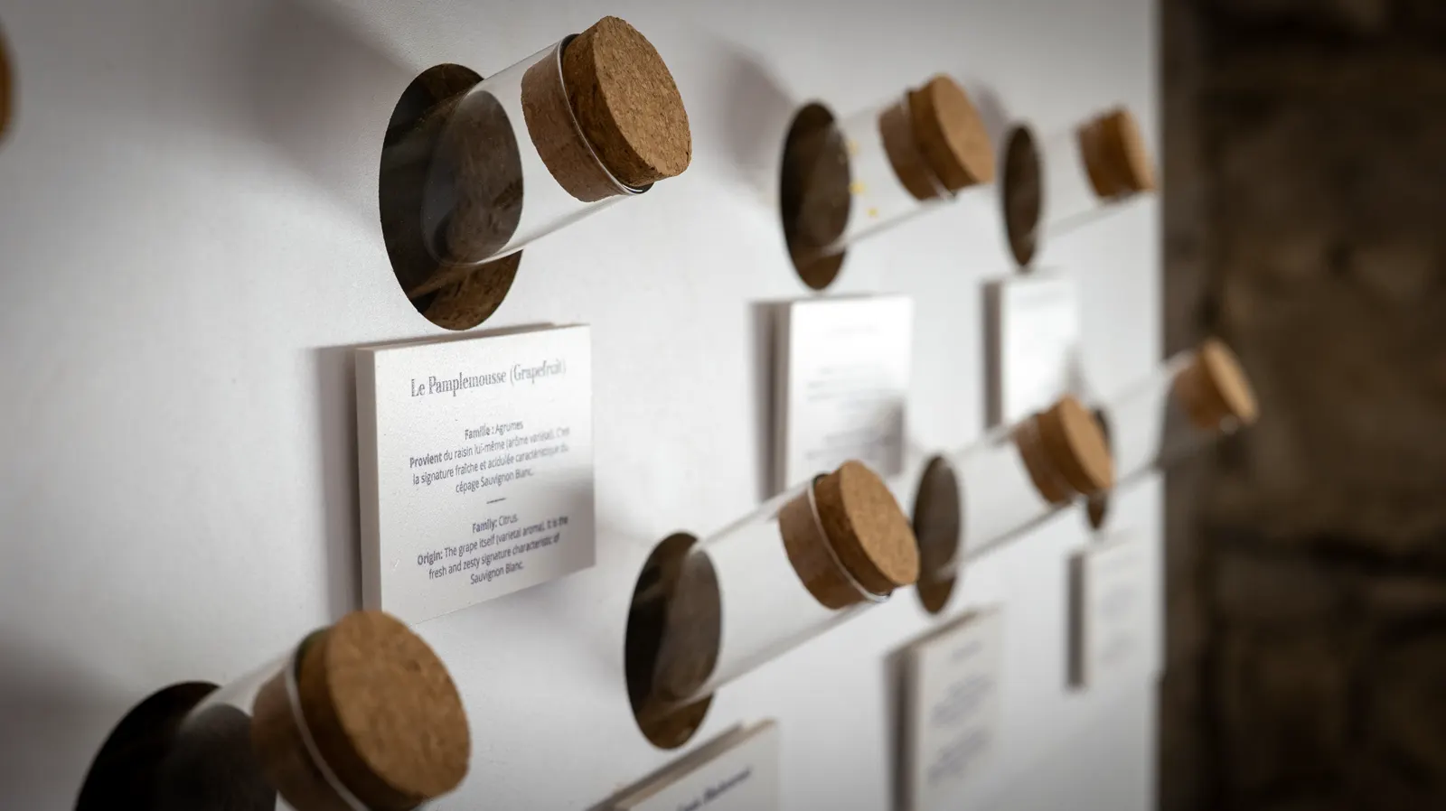 Soirée de team building au Petit Musée du Vin à Lyon, expérience conviviale et originale